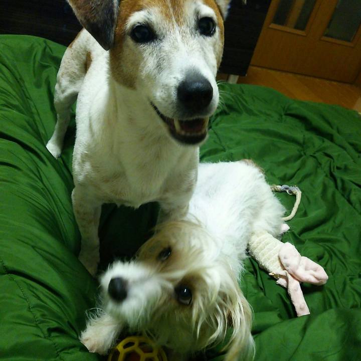 053805db 6d41 4068 ae52 f3ba72b62843