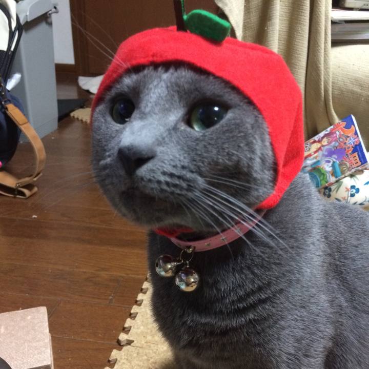 0538fd7f 1c93 4bcf 898d e15c8e62067f