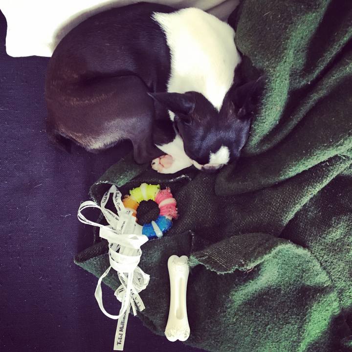 053914ff 0796 4c27 a7bc 100db866f53c