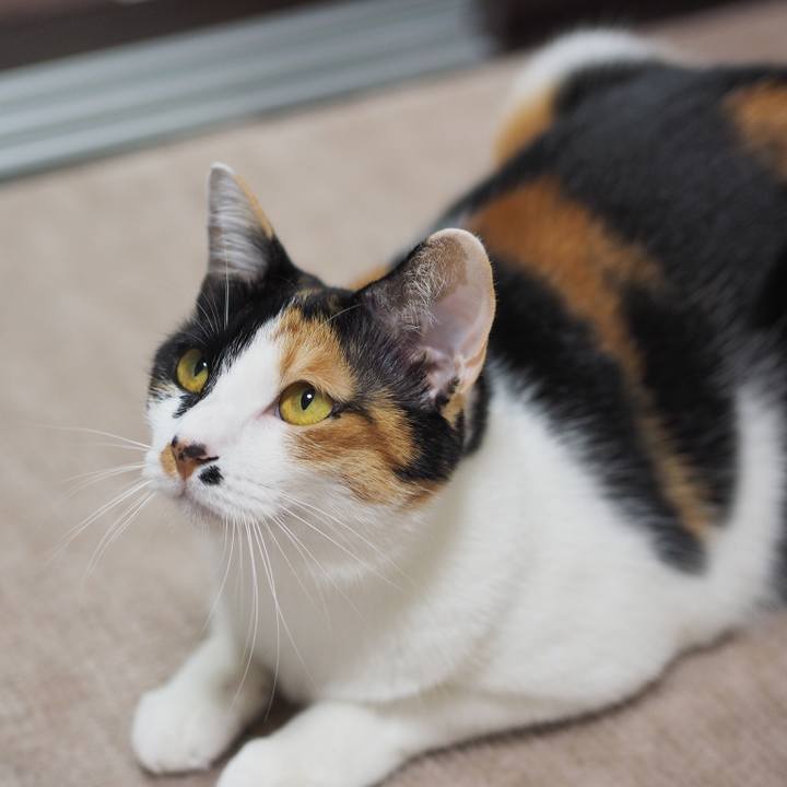 053934eb dbba 406c a8ee 04c18a25e052