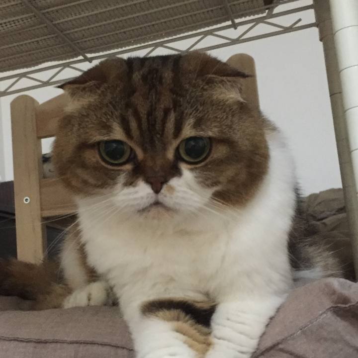 05397eef a269 4362 b7ec 9f06de331b30