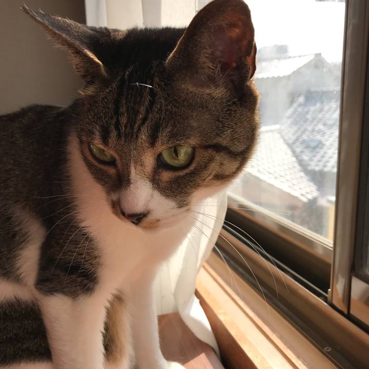 053a9e18 2ae0 4f53 99fd e64d93b3a5a0