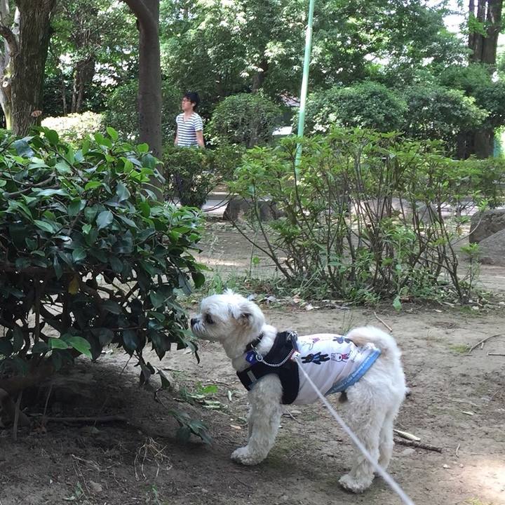 053aa352 c8bb 4032 ab95 00150eb2c2bc