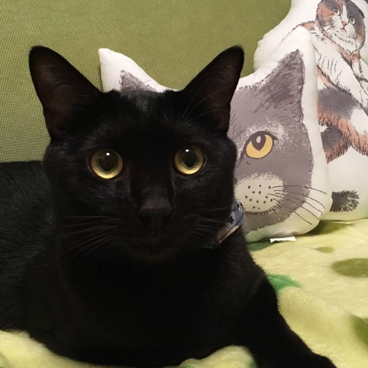 053b237b 819e 4fab a21d 1056de17b5ff