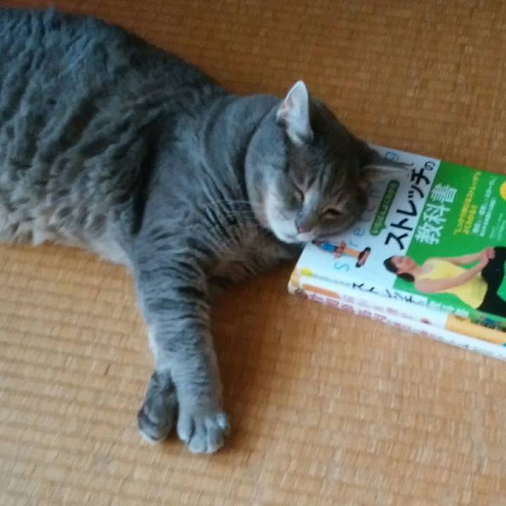 053bac1e 557b 4aa7 869c 56bfcb738f91