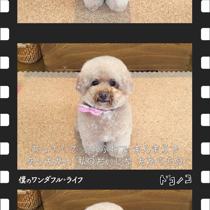 053bd32f 9171 4463 aa68 eb41955ff3fa