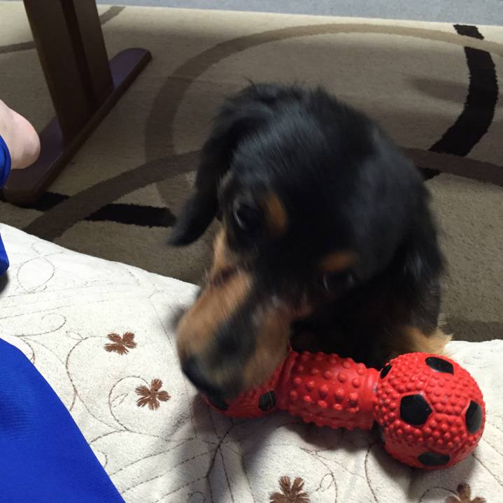 053c104b 9025 451b 9e41 63e93a1d9b44