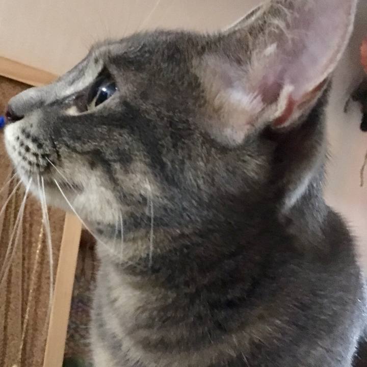 053c4812 f3f2 4f9b 8ff8 aa89331f843e