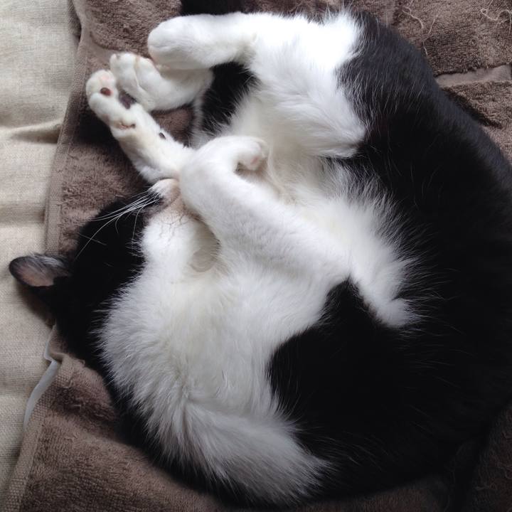 053c566e 77cd 4058 99fb a799314b5e6f