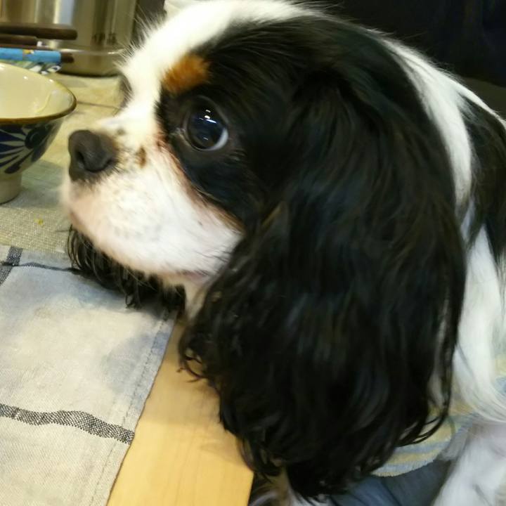 053c7fa6 2b2b 4b3e a983 c3b445b3715f