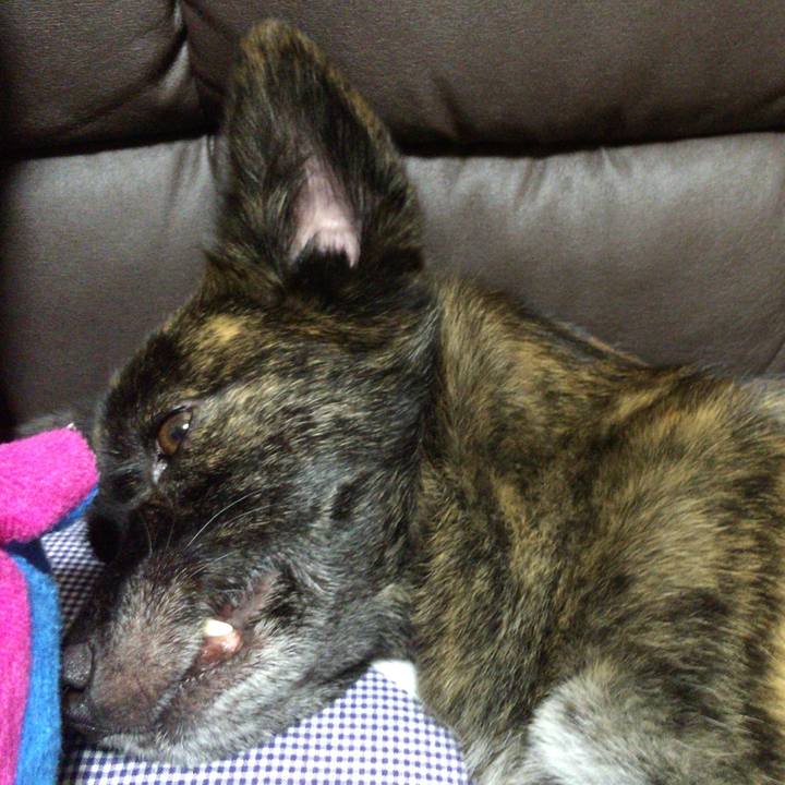 053cc1e6 0cc4 484f a60f 44c46bf0de7e