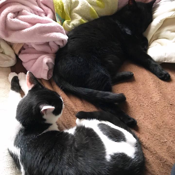 053cdcfc 9c96 45ec 969b 35aebebcba55