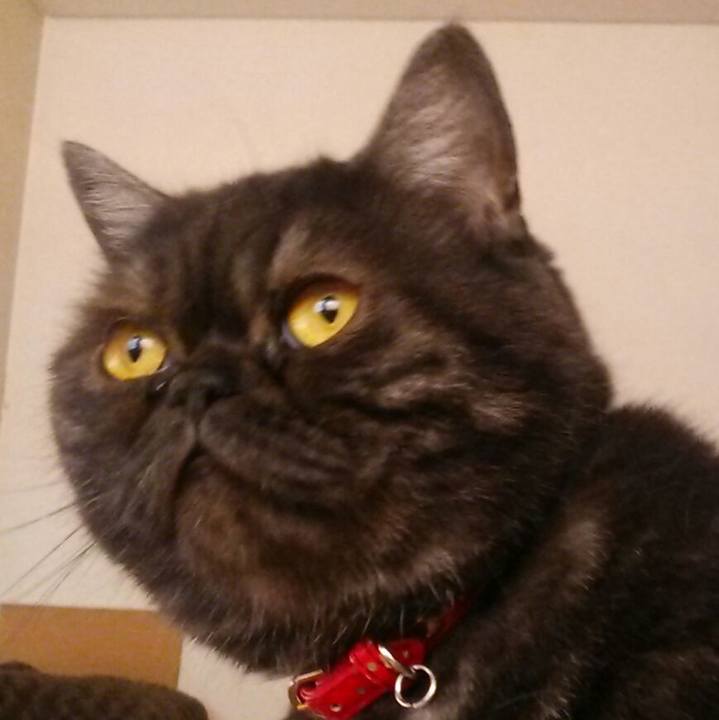 053ce63d 2e59 42ce b145 999a3fe9215f