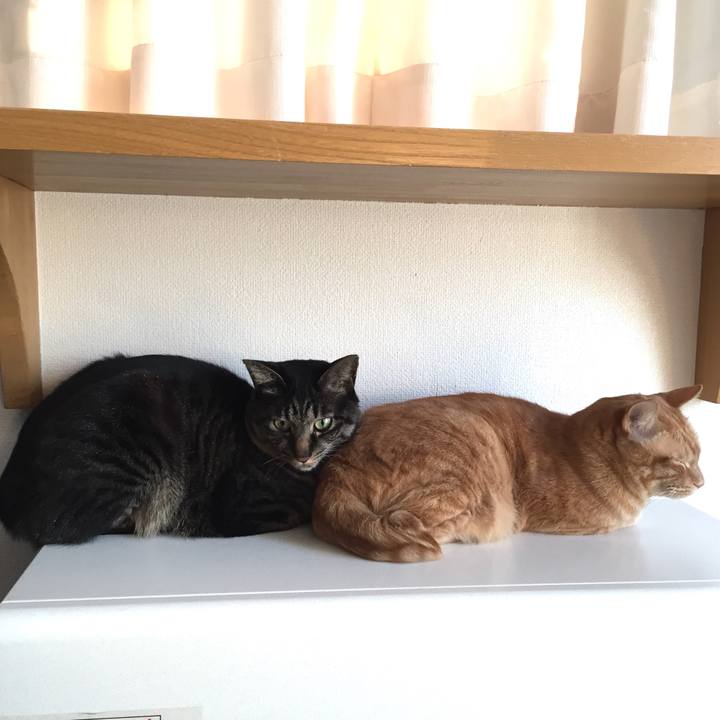 053ce6ca 6327 457c bddc 74d2605fb4a5