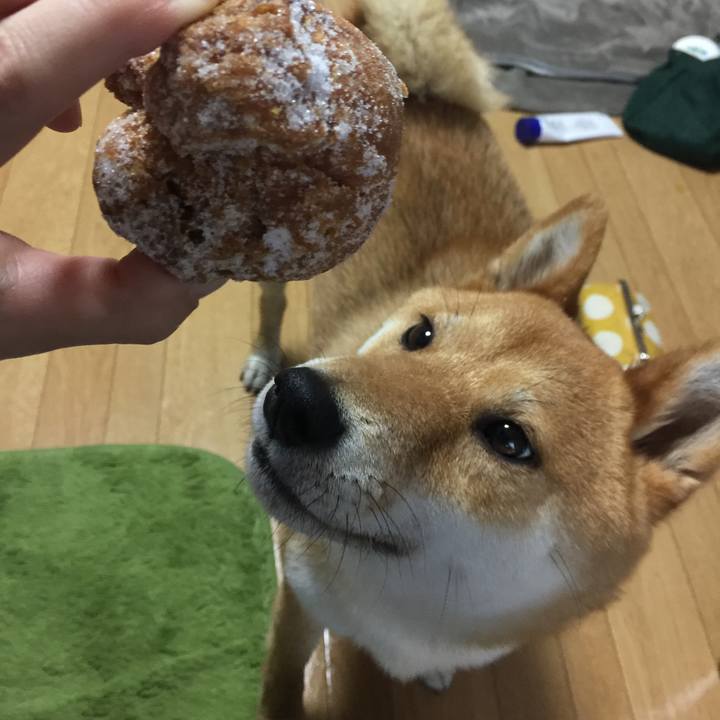 053db500 a352 4d4f 82dc 3bd4e906aa59