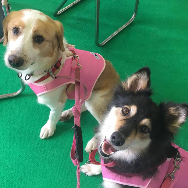 053e57bf c3d8 44f3 aa4b 9c1bc2a2779f