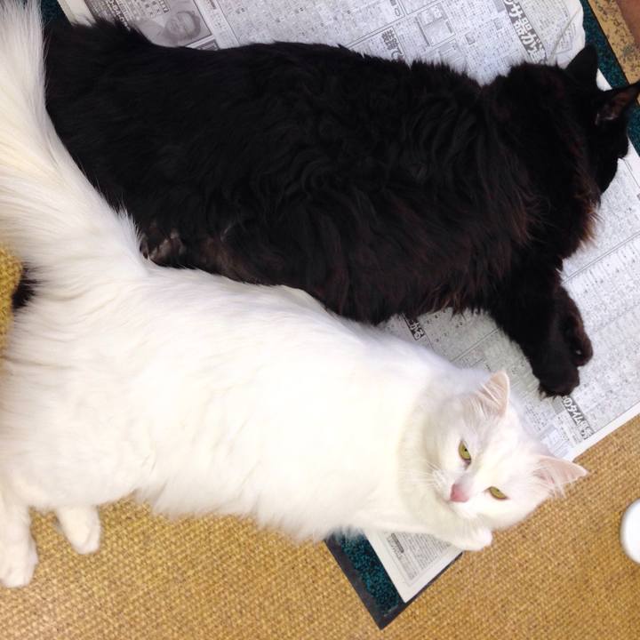 053e59fc 6faf 4700 9db9 ab3a941384af