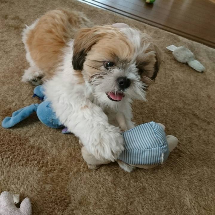 053e5afa 056c 4357 b860 5266f1c9aaff