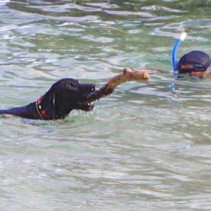 053e60e7 8e4c 4993 b571 a16a18ed5b64