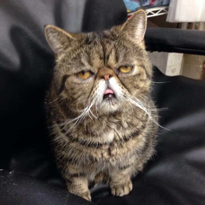 053efb51 082b 4411 a148 5595cfa782a9