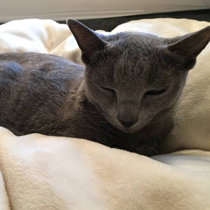 053f04e0 041c 449b b545 fa0554f6a5c5