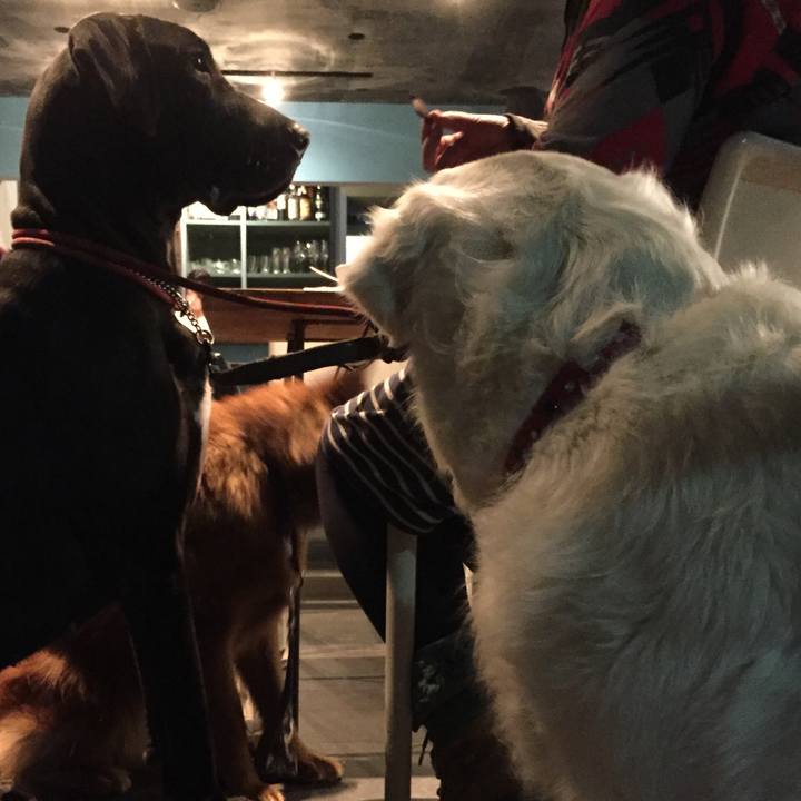 053f07d8 e018 4d7d acb0 6b286ec41442