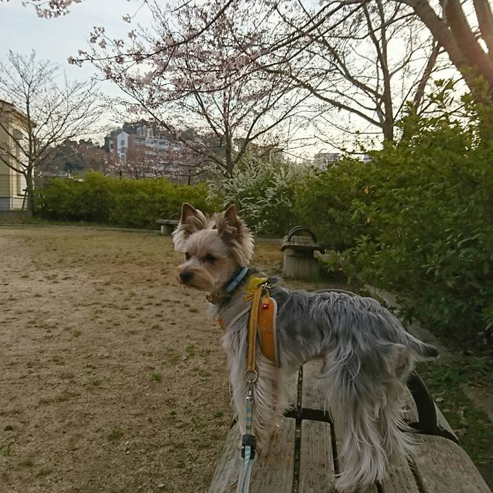 053f196c 246b 469b 808c c88f19f638c0