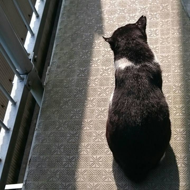 053f4c79 2ddc 4322 b9d7 27faae62e628