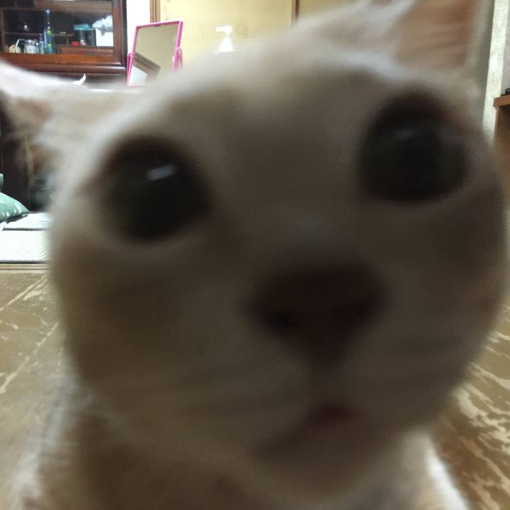 05414484 b375 4285 8877 0fc0eee0dafa