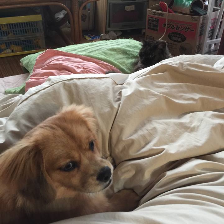 0541714f debf 46a6 ae85 e18fe09ecb7b