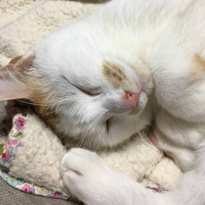 05419498 63cf 40cc a664 2e7490df5c9b