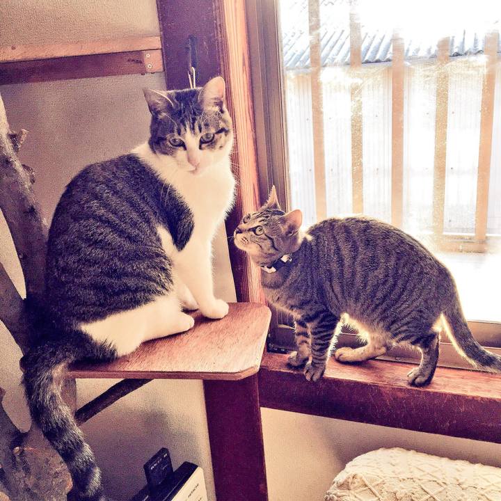 05422773 b329 4ed8 9dce 0eeed3cee0eb