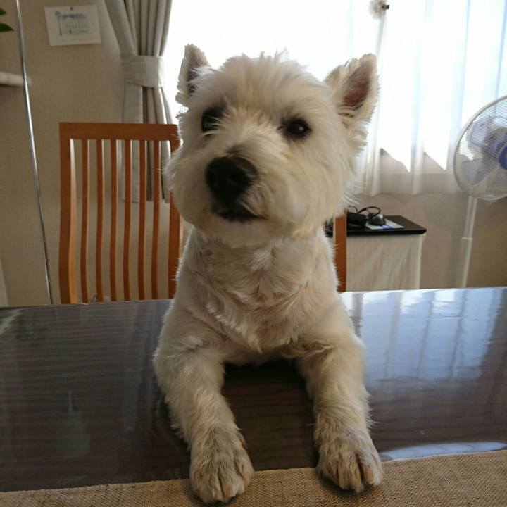 054287bd a5d6 43e7 8af0 9097485eb355