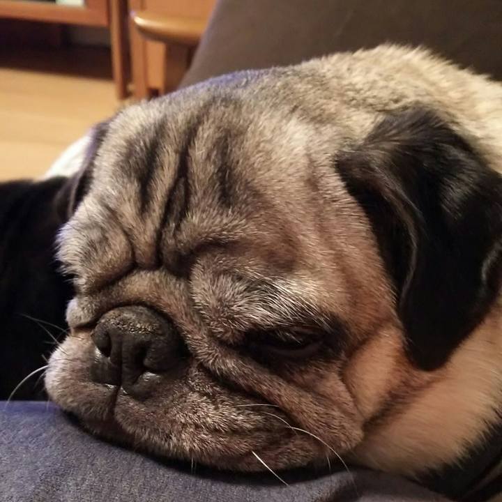 05428bd4 cceb 4665 a897 0953dadd0454