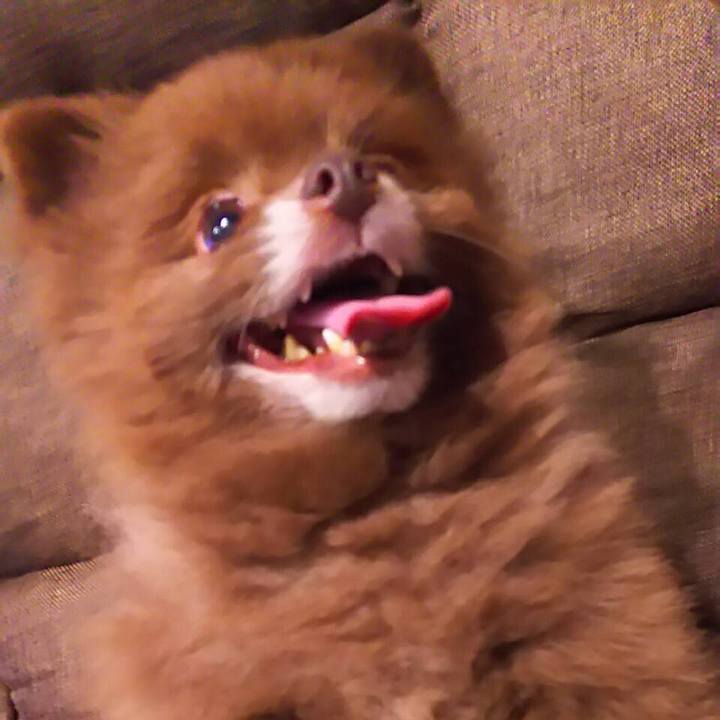 05432aac dd00 4307 8253 0fab25f978a5