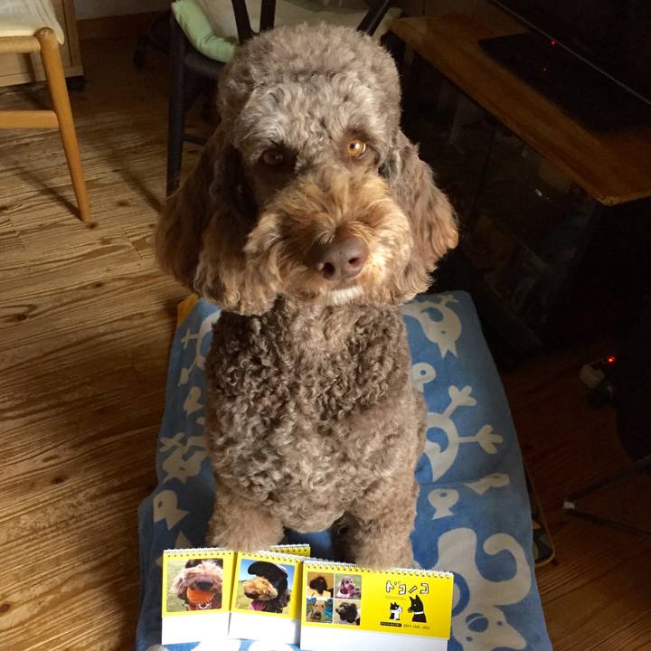 0543a7a2 e916 4a23 9ebc 59cedcf46ebe