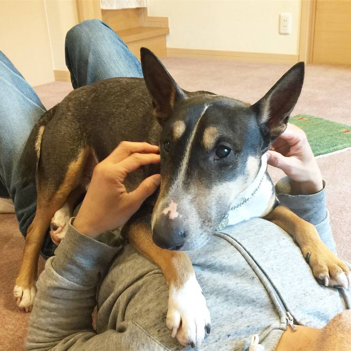 0543ac95 8abd 471d b810 3488c9039472