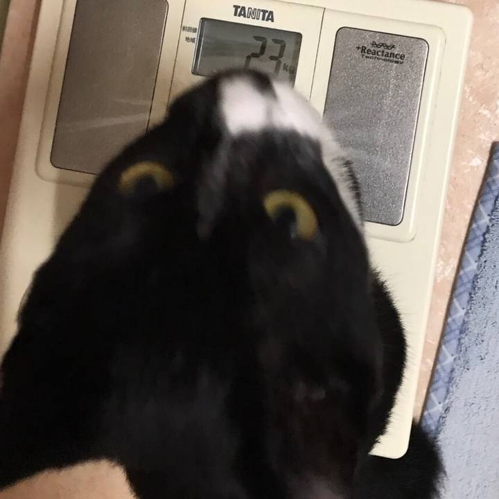 0543df26 da01 4e72 ae5d 42c7729c6fc5