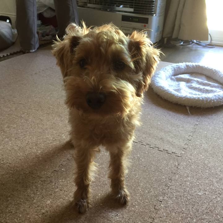 0544404e 6f80 461b b4a1 57397581166b