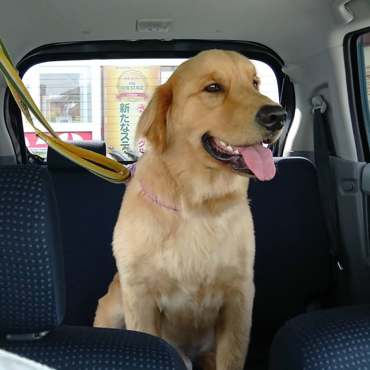 0544b2bf 5685 468b 877f 22ebb73b87c9