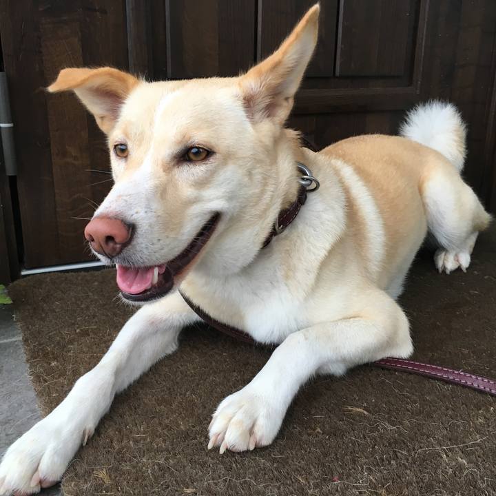 0544d009 4d2c 47af a84a 804319b74bb7