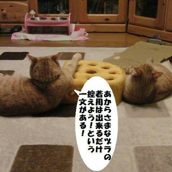 0544e2b8 1fc1 44e8 bde0 420c0c4f102a