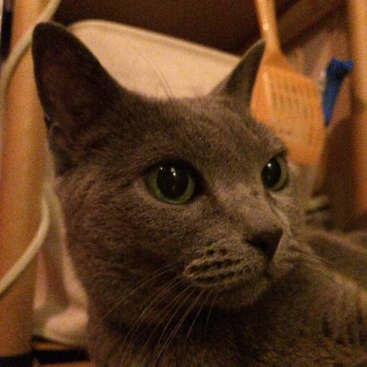 054526ba 6ee5 4730 9a06 b8c33ef0a92d