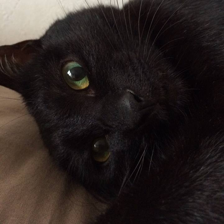 05459dc7 2ba7 497f b5c4 6bab6d88ed0c