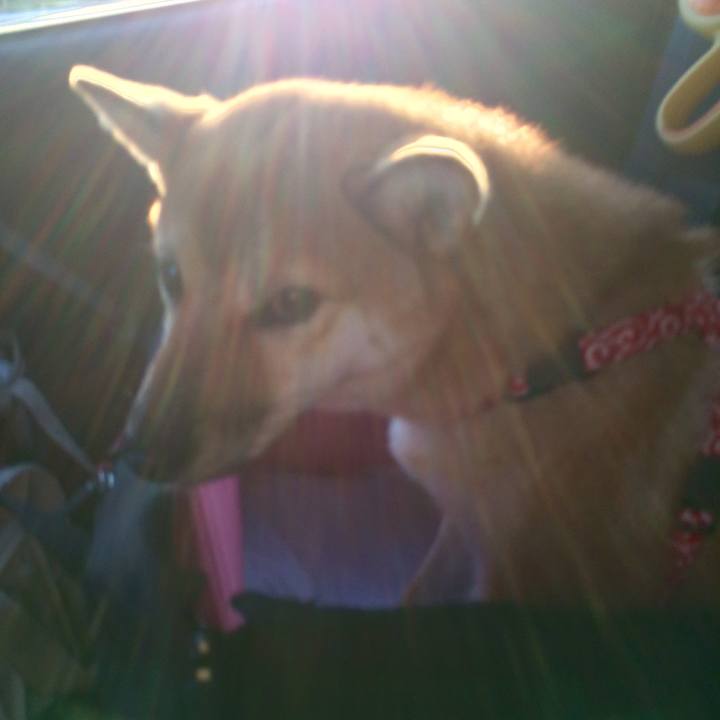 0545b2a5 538d 418b 8b10 1d6638717082