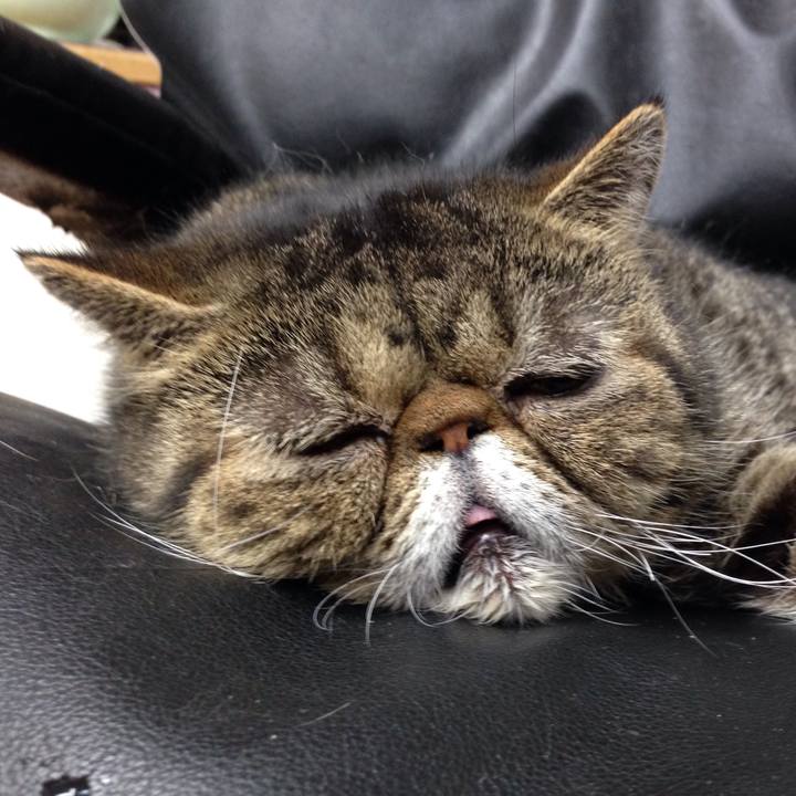 0545d4f6 719b 488c afc4 7427beb72b7d