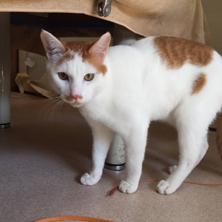 0545dc39 364b 4601 9d65 dc85fe4b5ebf