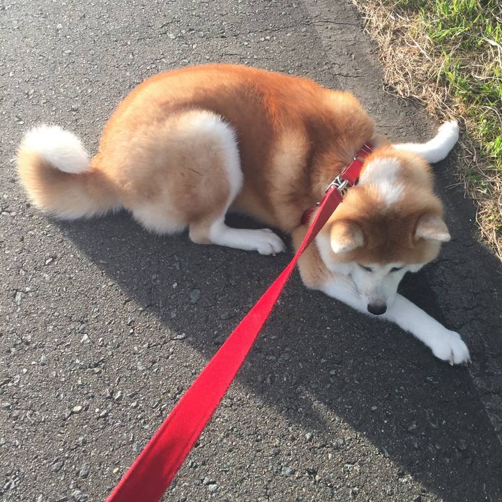 0545fa6b 2a77 4652 83e9 c71c6a197182