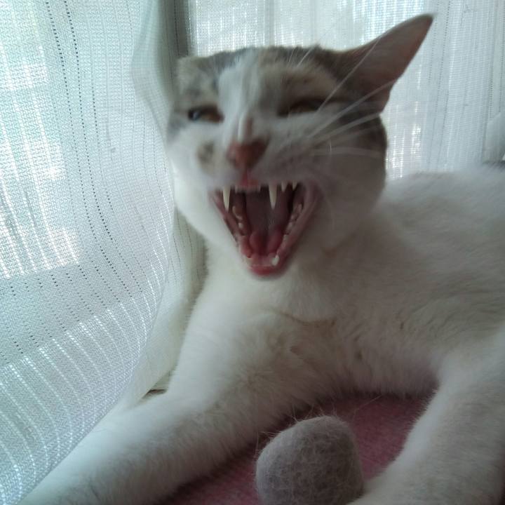 054612e9 4d6b 41dc 9a31 2231e63fc755