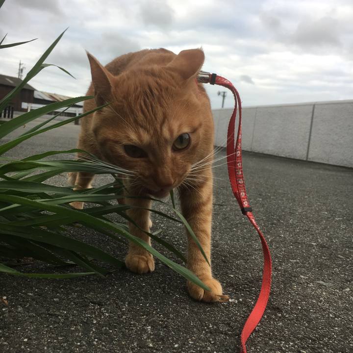 0546328b a6e4 4afc 8521 ae859c6e33b7